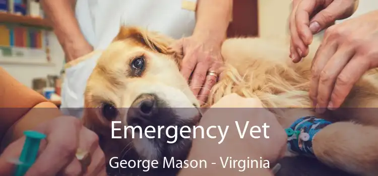 Emergency Vet George Mason - Virginia