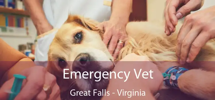 Emergency Vet Great Falls - Virginia