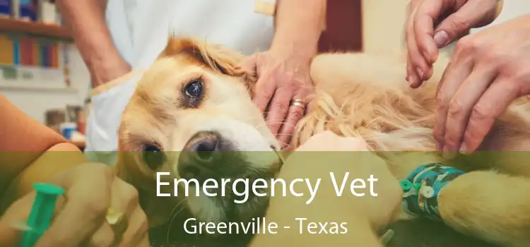 Emergency Vet Greenville - Texas