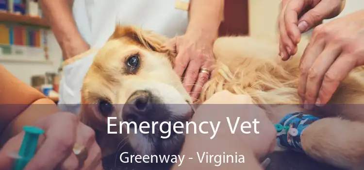 Emergency Vet Greenway - Virginia