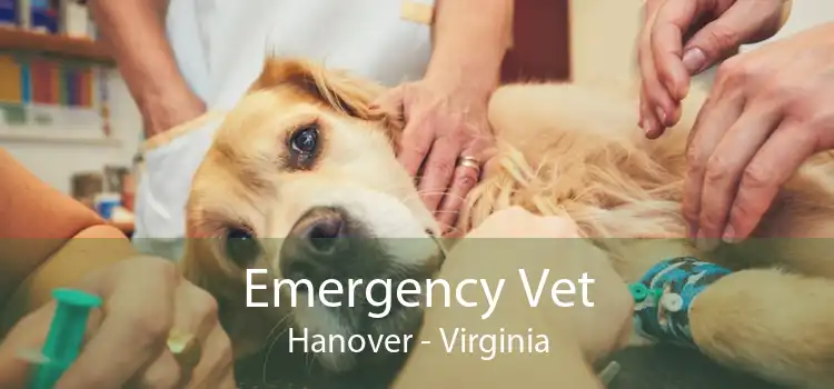 Emergency Vet Hanover - Virginia
