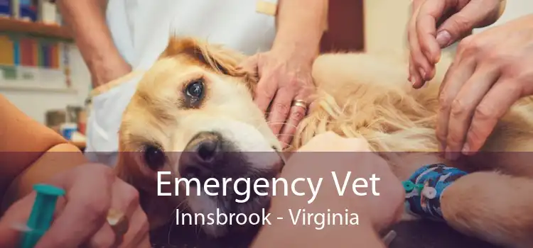 Emergency Vet Innsbrook - Virginia