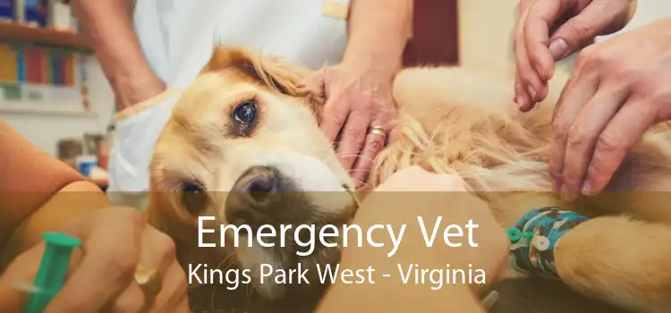 Emergency Vet Kings Park West - Virginia