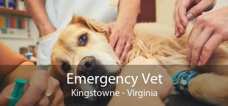 Emergency Vet Kingstowne - Virginia