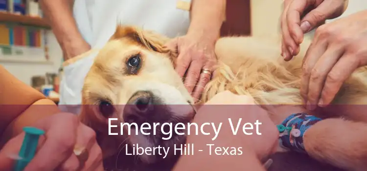 Emergency Vet Liberty Hill - Texas