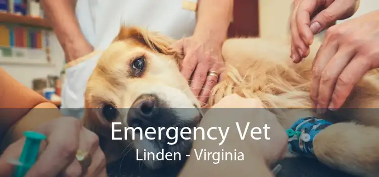 Emergency Vet Linden - Virginia