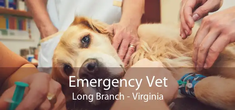 Emergency Vet Long Branch - Virginia