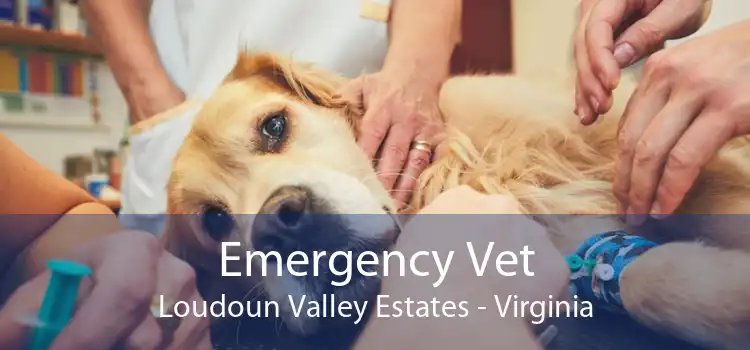 Emergency Vet Loudoun Valley Estates - Virginia