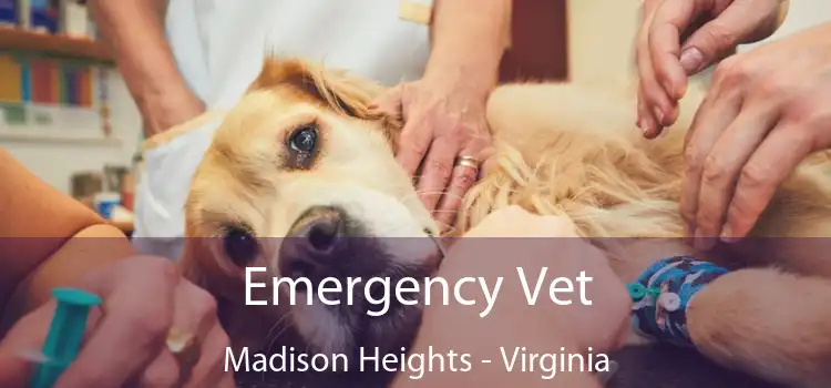 Emergency Vet Madison Heights - Virginia