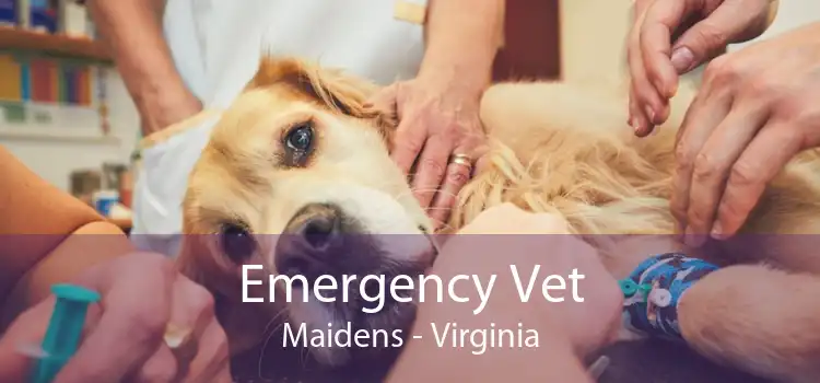 Emergency Vet Maidens - Virginia