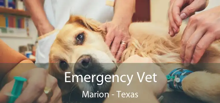 Emergency Vet Marion - Texas