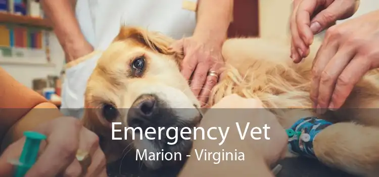 Emergency Vet Marion - Virginia