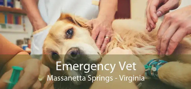 Emergency Vet Massanetta Springs - Virginia