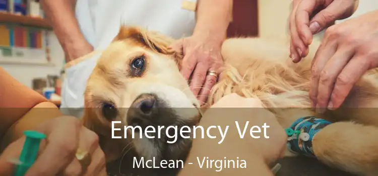 Emergency Vet McLean - Virginia