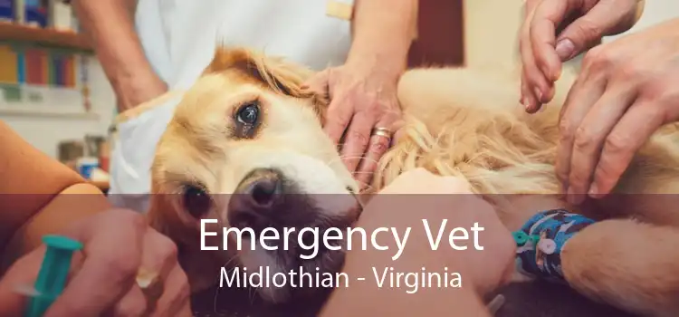 Emergency Vet Midlothian - Virginia