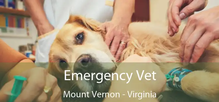 Emergency Vet Mount Vernon - Virginia