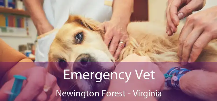 Emergency Vet Newington Forest - Virginia