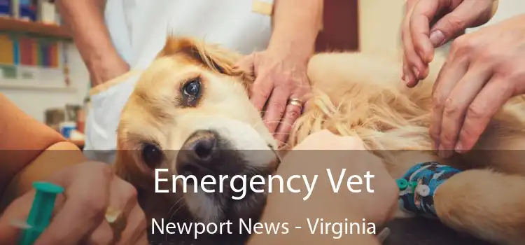 Emergency Vet Newport News - Virginia