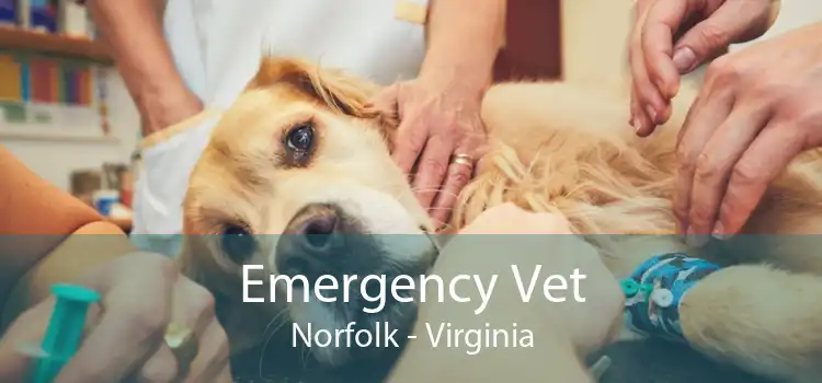 Emergency Vet Norfolk - Virginia