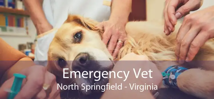 Emergency Vet North Springfield - Virginia