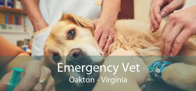 Emergency Vet Oakton - Virginia