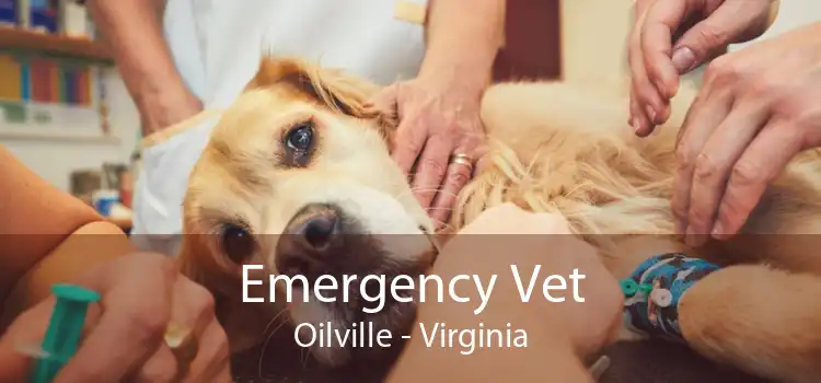 Emergency Vet Oilville - Virginia
