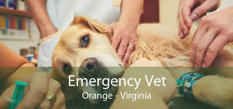 Emergency Vet Orange - Virginia