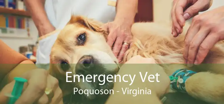 Emergency Vet Poquoson - Virginia