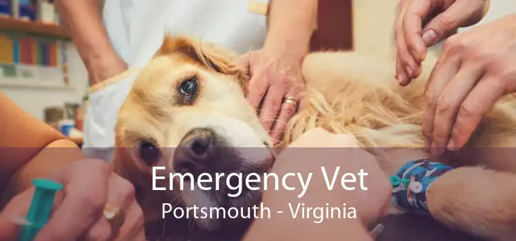 Emergency Vet Portsmouth - Virginia