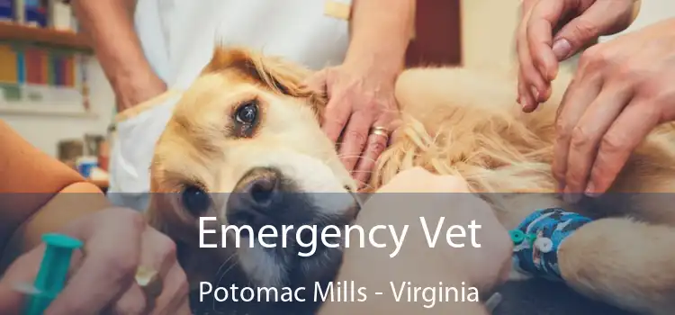 Emergency Vet Potomac Mills - Virginia