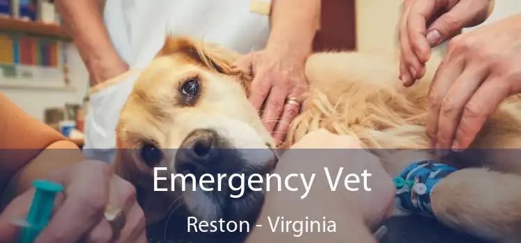 Emergency Vet Reston - Virginia