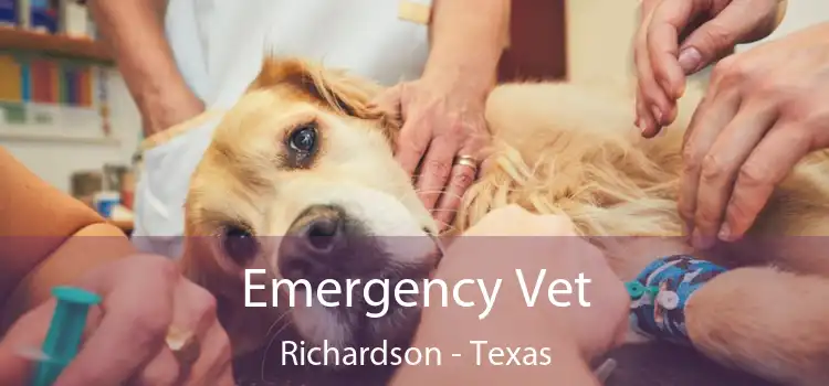 Emergency Vet Richardson - Texas