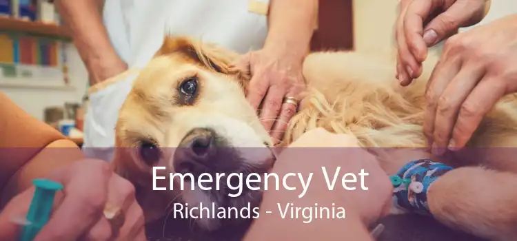 Emergency Vet Richlands - Virginia