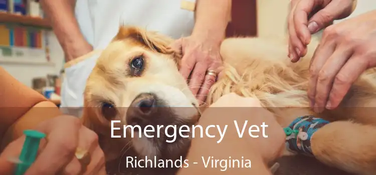 Emergency Vet Richlands - Virginia