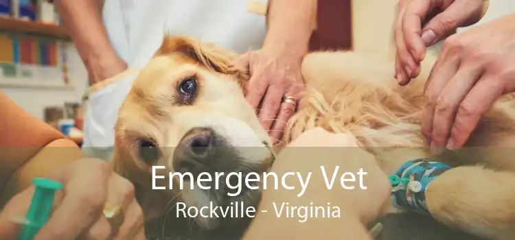 Emergency Vet Rockville - Virginia