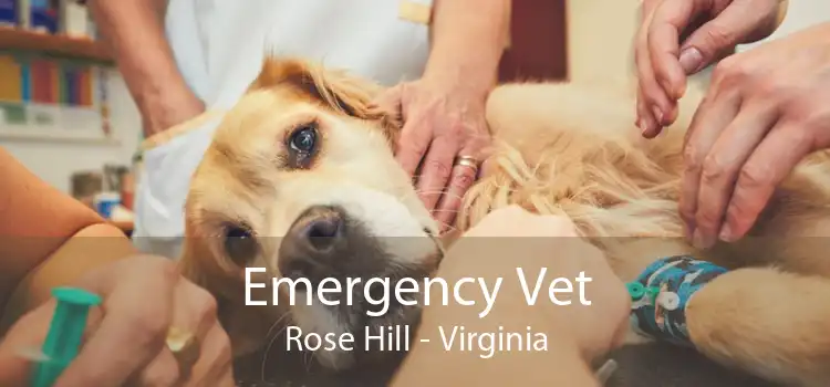 Emergency Vet Rose Hill - Virginia