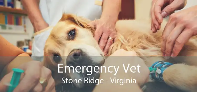 Emergency Vet Stone Ridge - Virginia