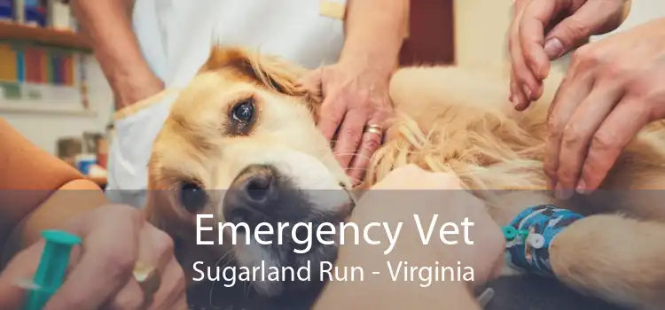 Emergency Vet Sugarland Run - Virginia