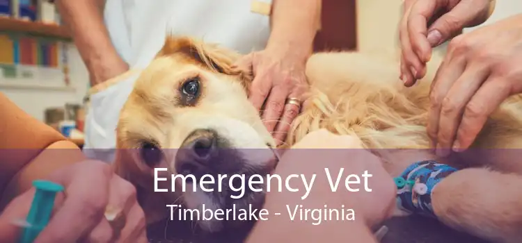 Emergency Vet Timberlake - Virginia