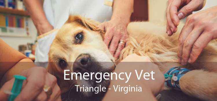 Emergency Vet Triangle - Virginia