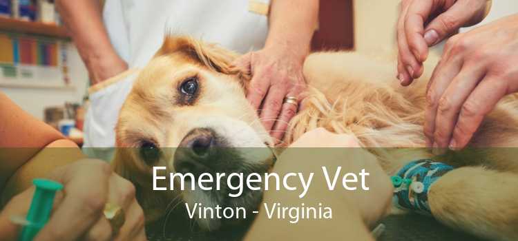 Emergency Vet Vinton - Virginia