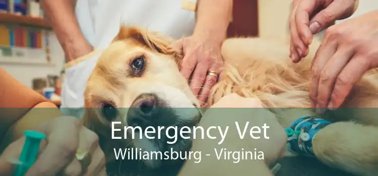 Emergency Vet Williamsburg - Virginia
