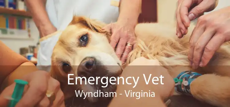 Emergency Vet Wyndham - Virginia