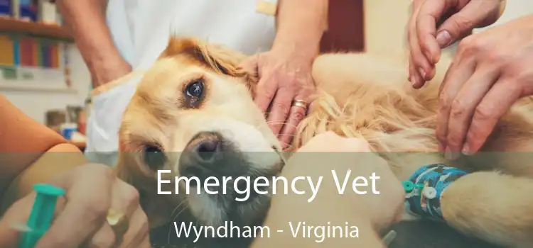 Emergency Vet Wyndham - Virginia