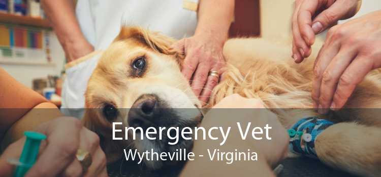 Emergency Vet Wytheville - Virginia