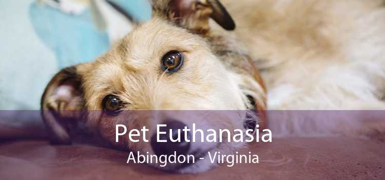Pet Euthanasia Abingdon - Virginia