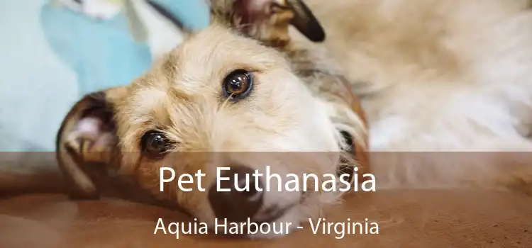 Pet Euthanasia Aquia Harbour - Virginia