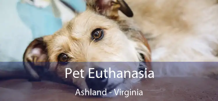 Pet Euthanasia Ashland - Virginia