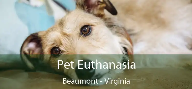 Pet Euthanasia Beaumont - Virginia