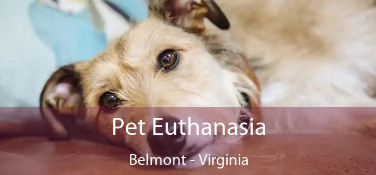 Pet Euthanasia Belmont - Virginia